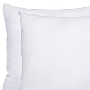 Indoor Decorative Square Pillow